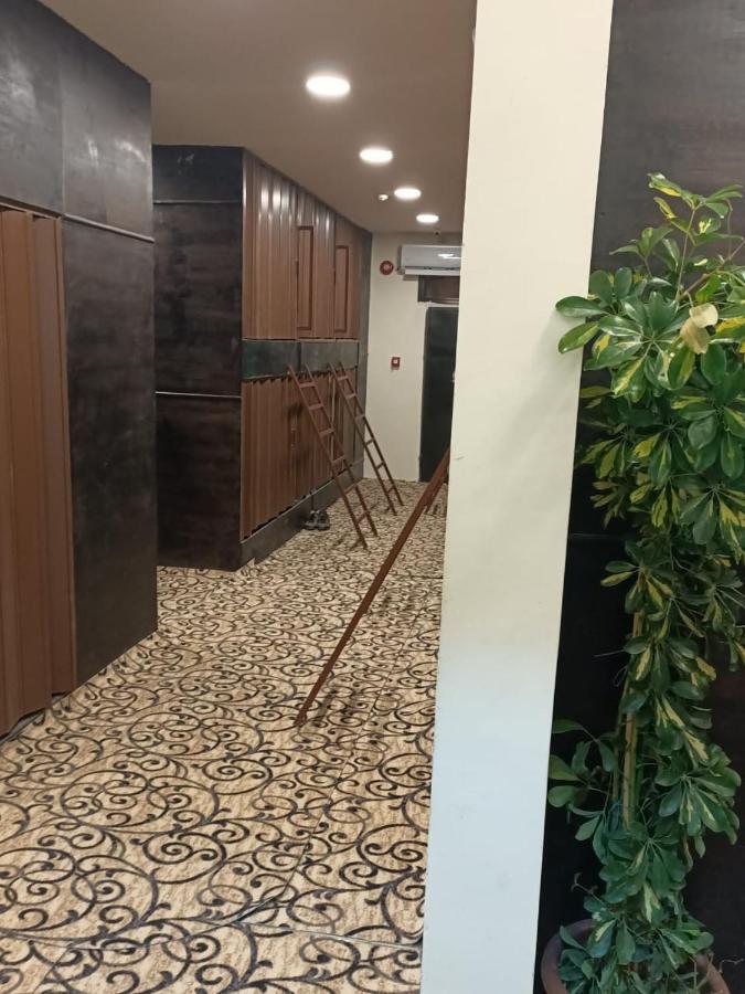Petra Cabin Dorms Hostel ワディ・ムーサ エクステリア 写真